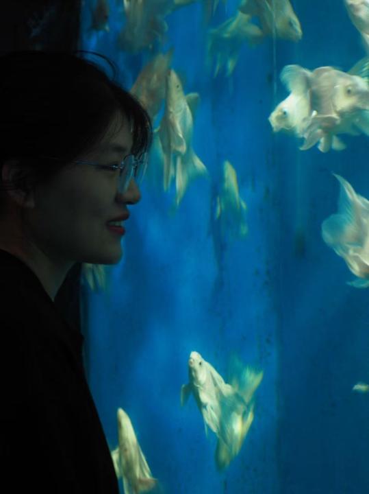 Kairui Zhang