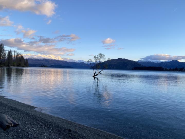 Road Trip - Wanaka - New Zealand