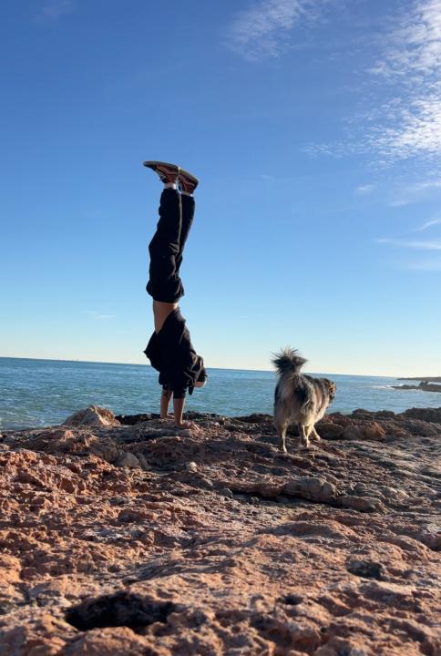 The Vanlife Freedom™ Blueprint is LIVE (2 Spots Left!)