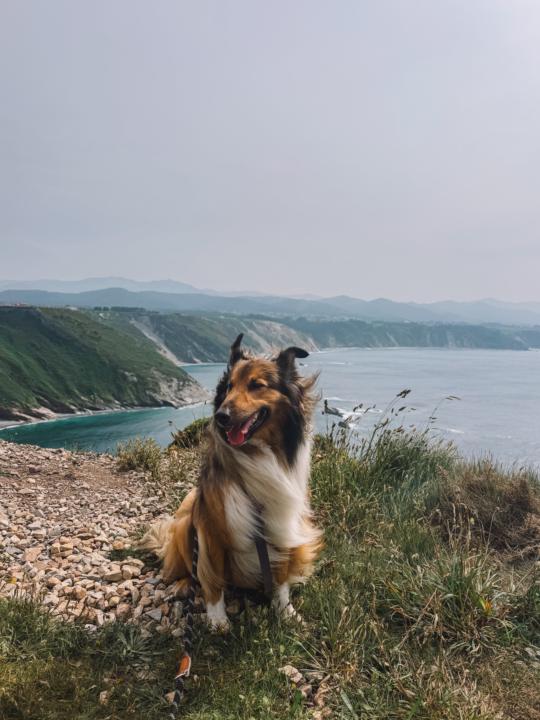 6 Months on the Road — My Vanlife Milestone 🚐💛