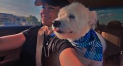 Elizabeth De La Torre