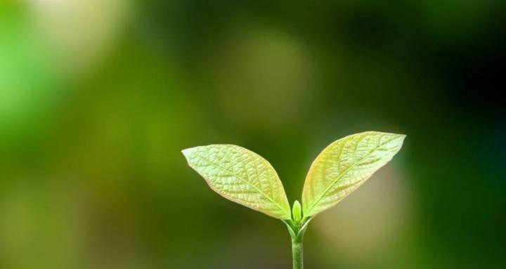 Wealth Restoration Project