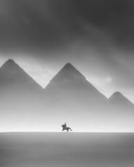 Joseph P