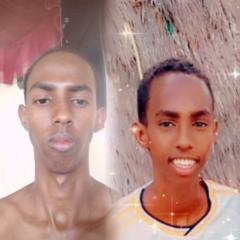 Anis Abdi
