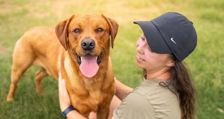 Dog Stuff Reactivity>Reformed