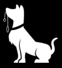 Take the Lead Dog Obedience