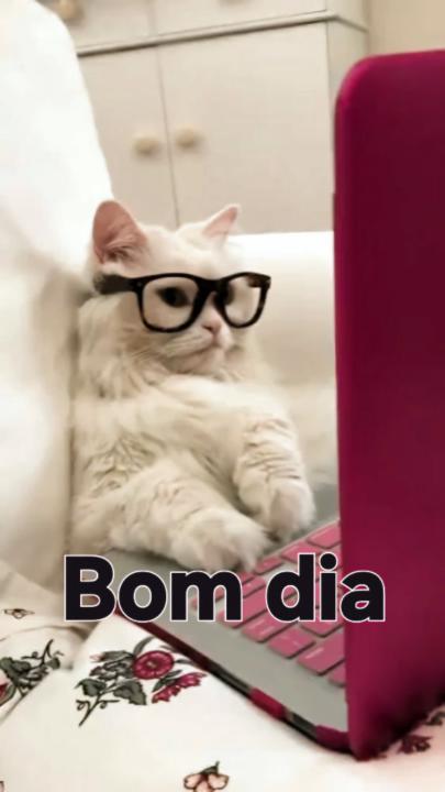Jorge Leite