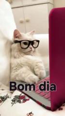 Jorge Leite