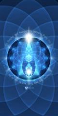 Sasha MacDougall