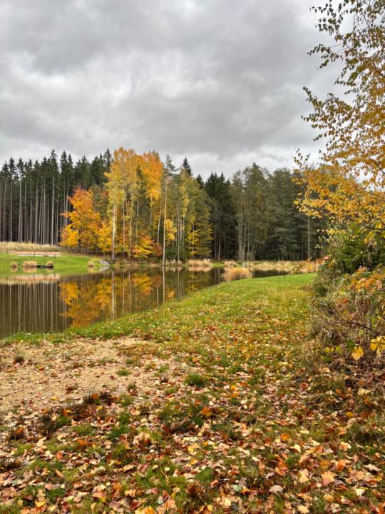 Kristyna Fleissnerová