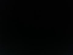 Nihal Benhadj mammar