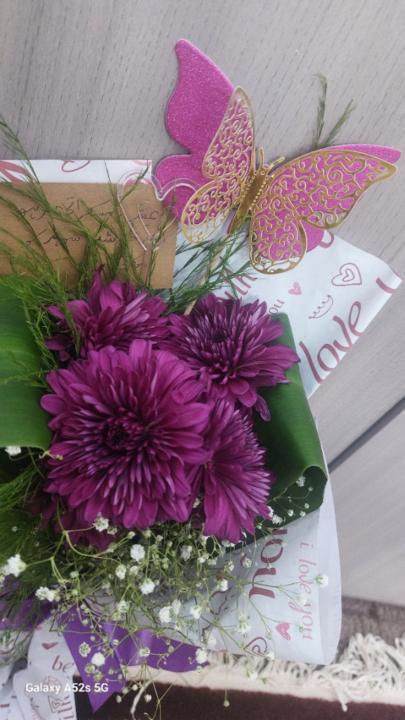 أم محمد الأيوبي