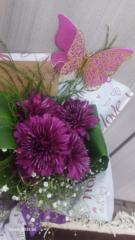 أم محمد الأيوبي