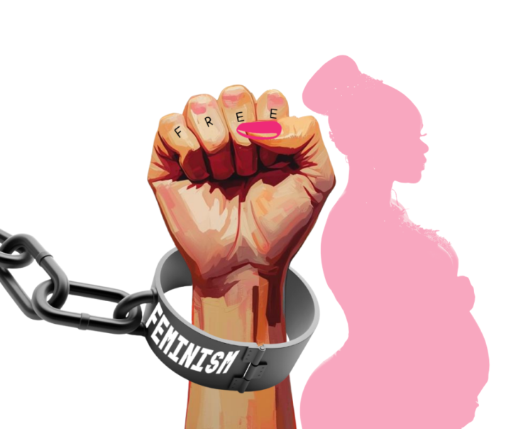THE TRUTH ABOUT THE FEMINIST MOVEMENT 