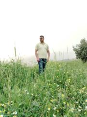 Tayseer Alhamad