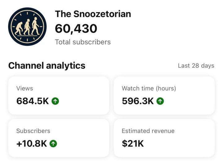 🚨 This Faceless Sleep Channel Made $21K in One Month