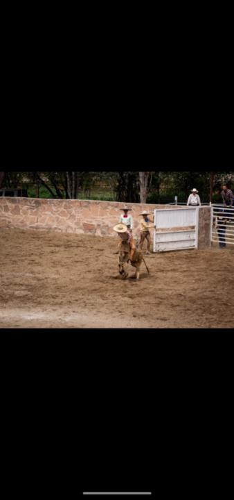 Miguel Lopez piña