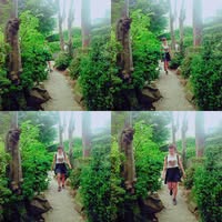 Cheer Ning