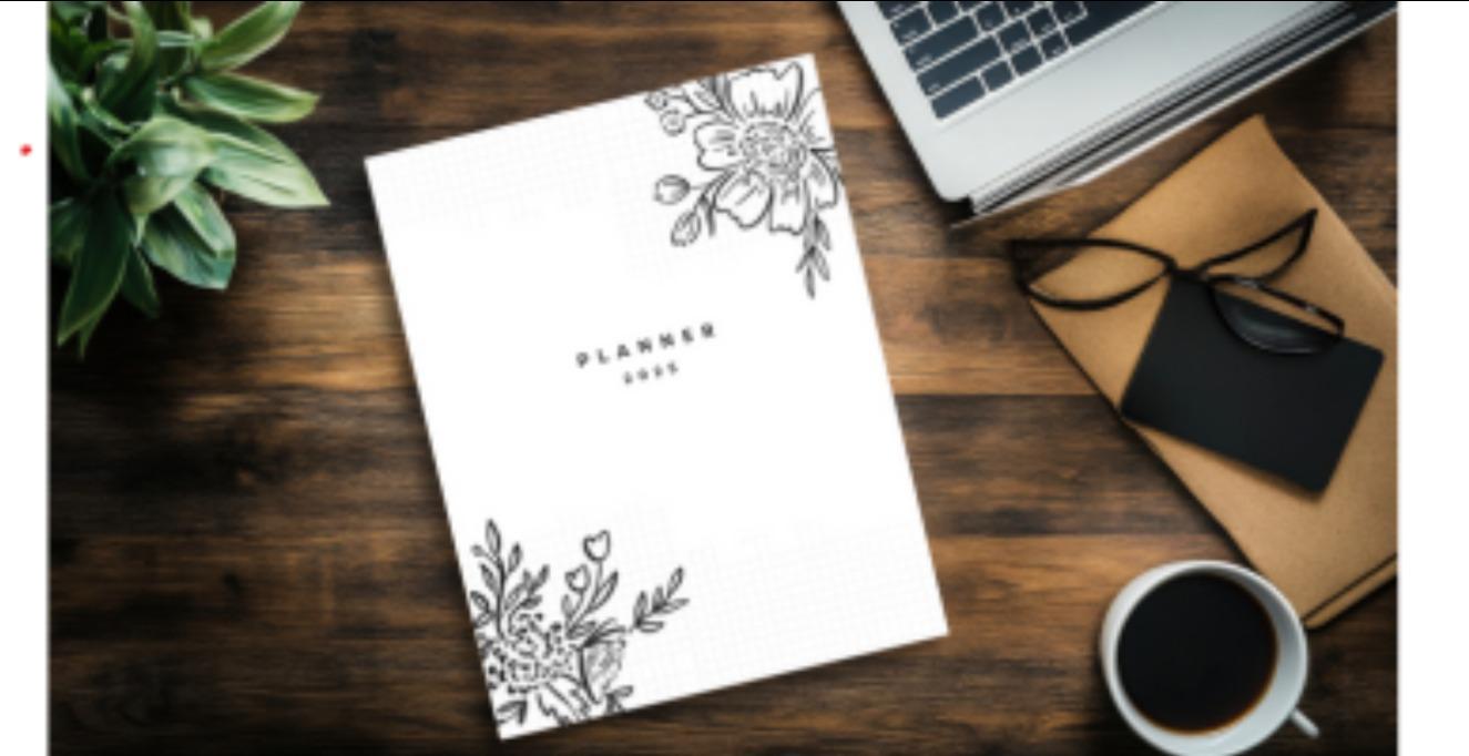 BIBLE READING PLAN 2025