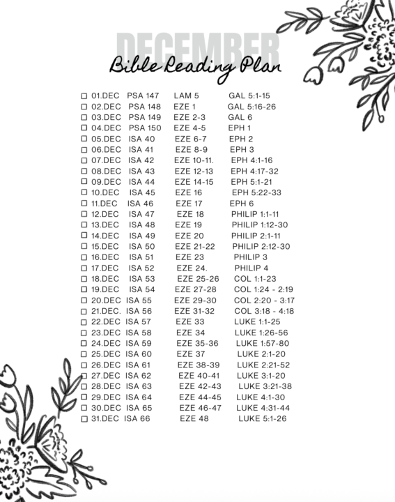 DECEMBER BIBLE READING PLAN!!!