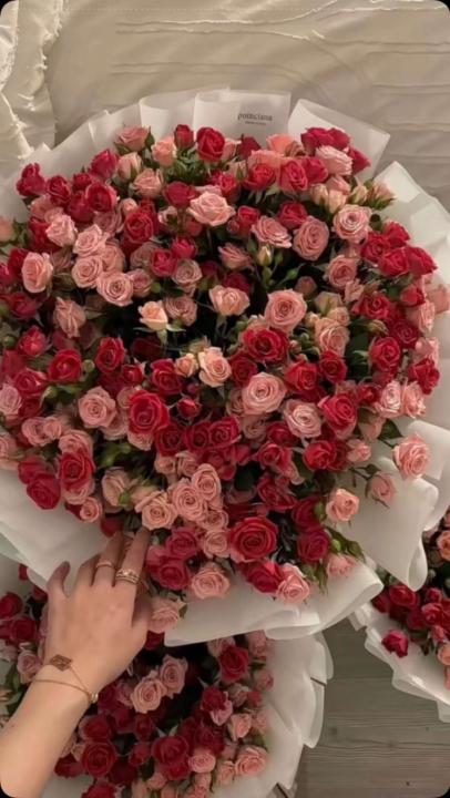 مريم العامري