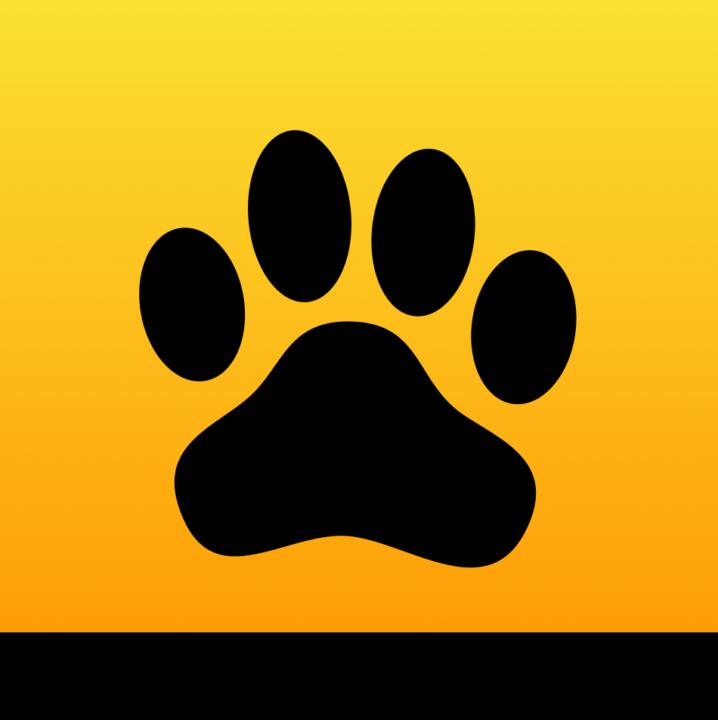 🐾 Introduce yourself and your Sprintugwalk Companion!