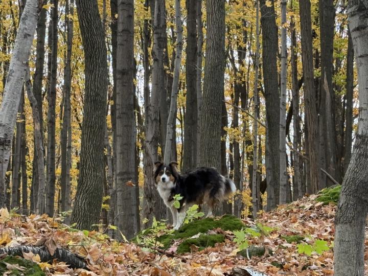 Sprintugwalk video coming