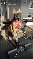 Sandy Hellmich Weßling