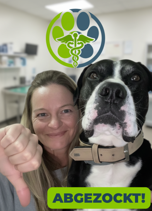 600 € Tierarztkosten zum Jahresanfang 