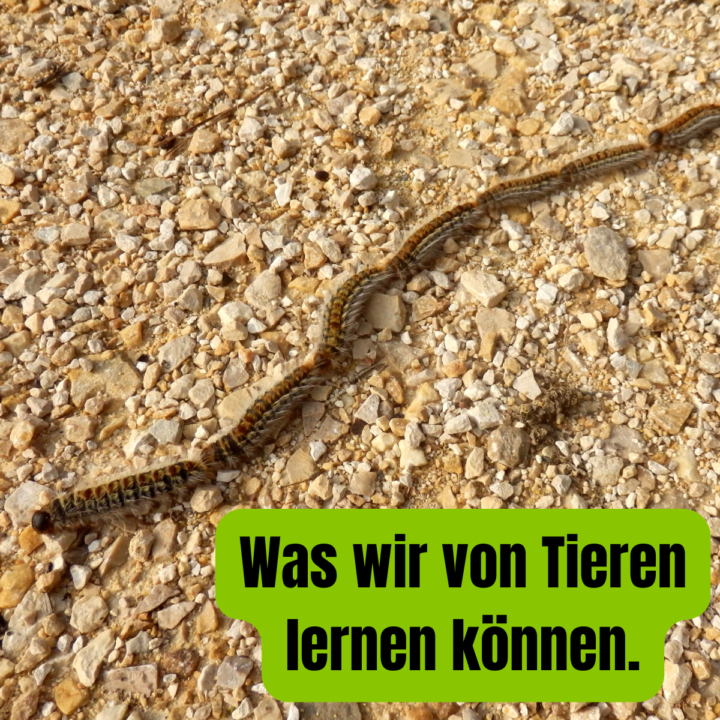 Alle reden von Selbstständigkeit.