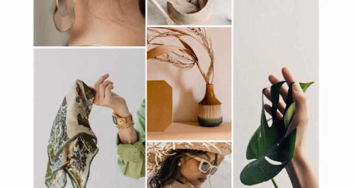 THE MODERN MONEY MAMAS