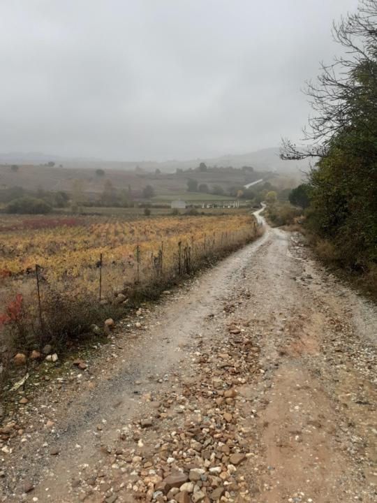 Michael Nestramiotis