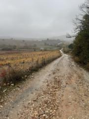 Michael Nestramiotis