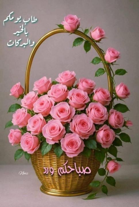 Soma Mohamed