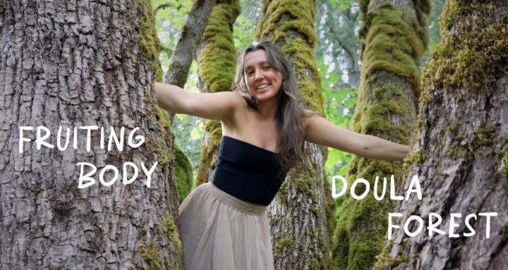 Fruiting Body Doula Forest