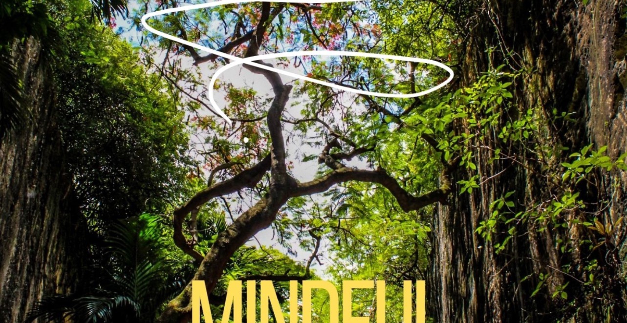 Mindful Living:Guide to Inner Peace and Clarity