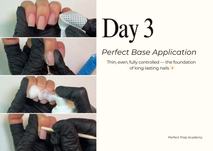 ✨Day 3 — Base Layer Basics ✨