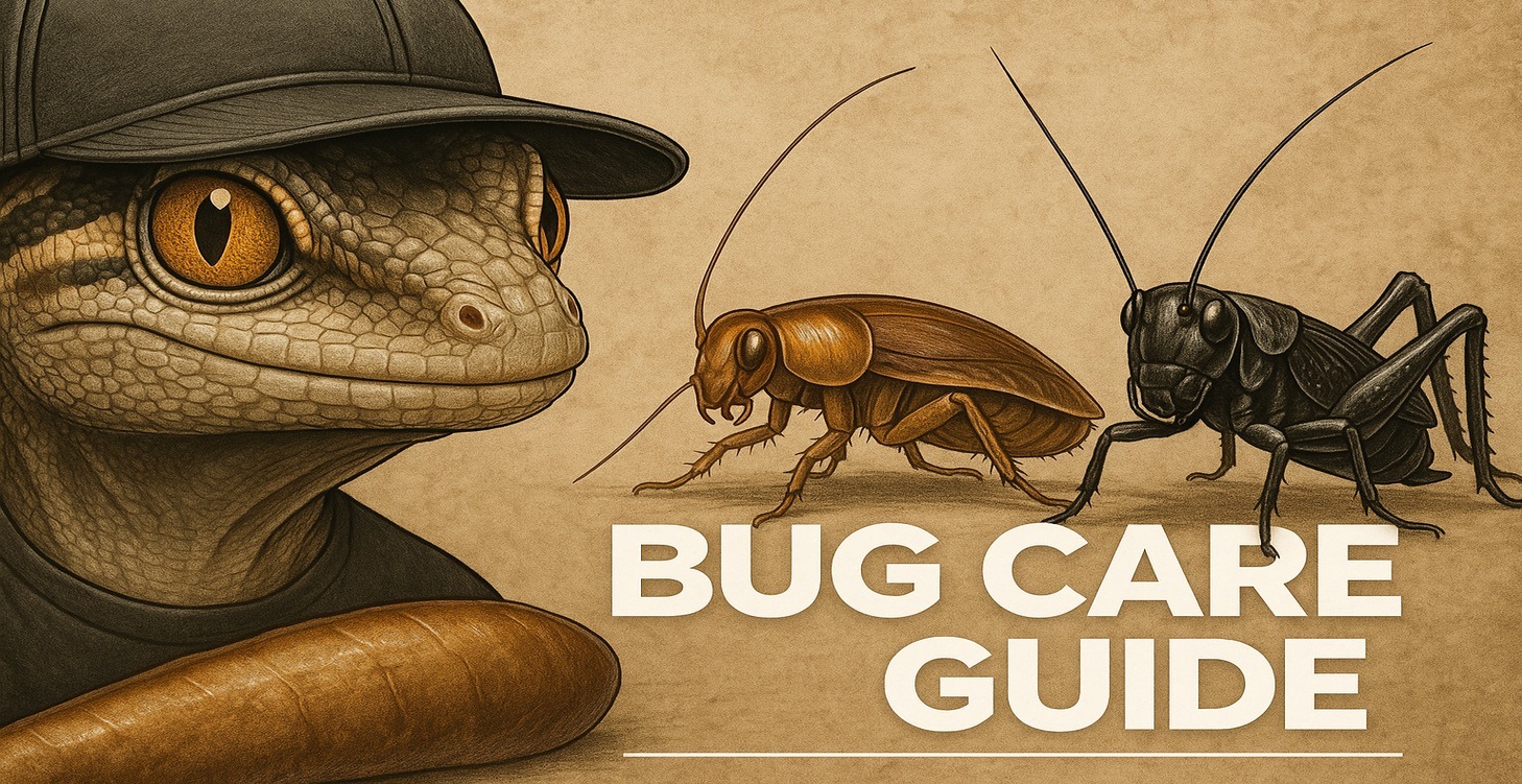 🐛 Bug Care Guide