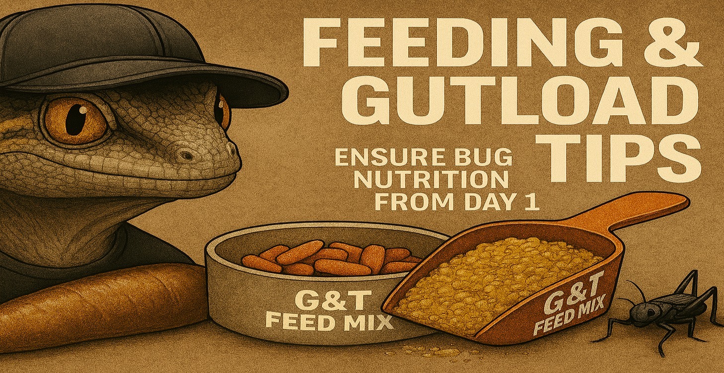 💡 Feeding & Gutload Tips