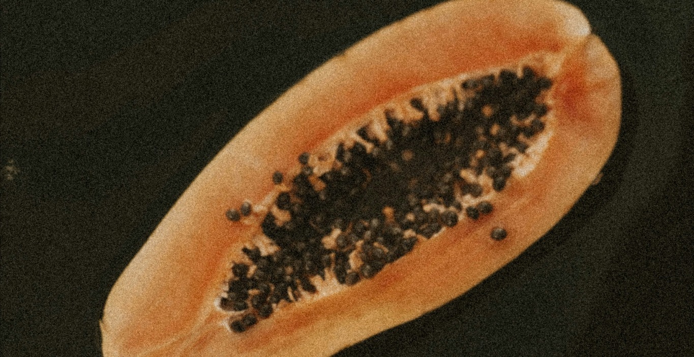 Module 2: Meet Your Gut Microbiome