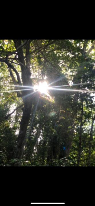 Maria Inês Correia Lima