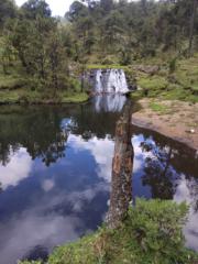 Erendira Espinosa Zaragoza