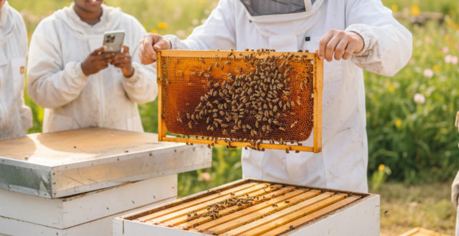 So, You Want To Become A Beekeeper?