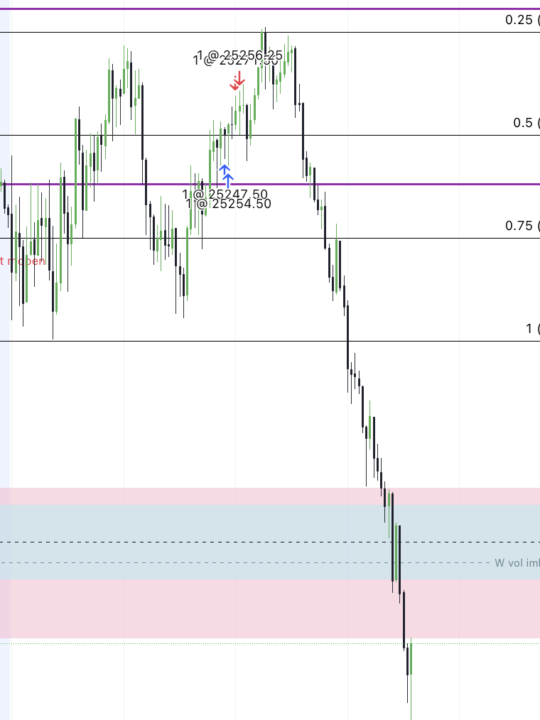 Manipulation definition