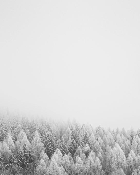 N. L.