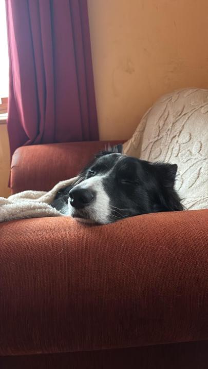 Anne Marie McDermott