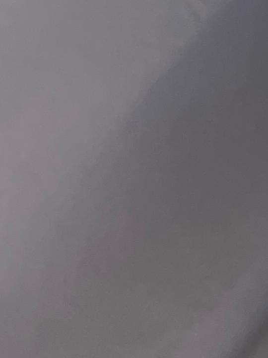 Bee A