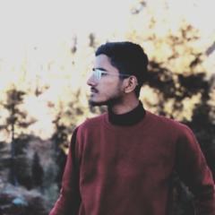 Muhammad Ateeb
