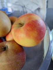 Nadine Personaltrainer