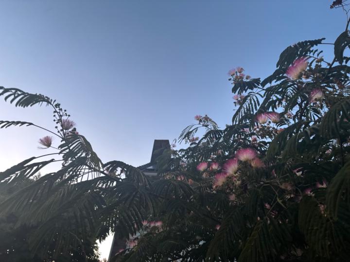 P L